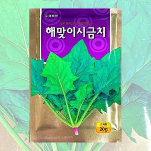 봄가을 시금치 씨앗 해맞이시금치씨앗 20g 26년포장