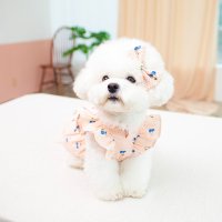 강아지 애견 원피스 봄 여름옷 나시 레이스 고양이 촬영 웨딩 드레스 고양이 XS 2XL