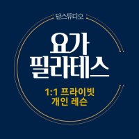 1:1 권선 달스튜디오 10회 플라잉 필라테스 번지핏 ufeff 골반, 척추, 체형 교정 개인레슨