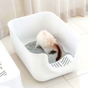 고양이 특대형 평판형 화장실 오픈형 냥변기