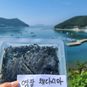 유기농 완도 염장 채다시마 250gX4팩(1kg) 다시마채 해초류