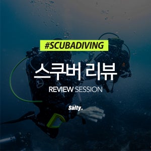 [스쿠버] 스킨스쿠버 추가교육 리뷰 재교육 5회권 / 1:1 강습 / 성남 용인