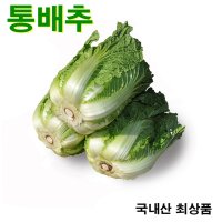 꼬레촌배추 통배추 10포기 (고랭지 18kg) - 25kg이상/box