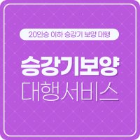 [무료 출장시공] 20인승 승강기보양 엘리베이터보양 / 플라베니아 3T 올보양