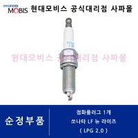 현대 순정 점화 플러그 1개 - 쏘나타 7세대 LF F/L LPG 2.0 LPi ( 뉴 라이즈 스파크 플러그, 18846 08071 )