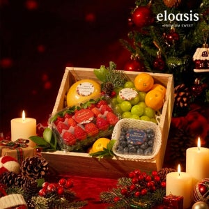 엘로아시스 크리스마스 과일 선물세트 홀리데이 에디션 연말선물