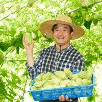 6시내고향 차요테 5kg 함양차요테 다이어트채소 저혈당식품 불수과 차요태요리 chayote