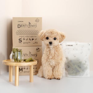 덴티페어리 클로로필 에코팩 880g 포켄스 강아지 덴탈껌 치석 입냄새 제거 개껌