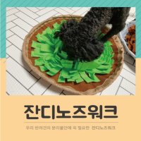 반려견 노즈워크 잔디 놀이 강아지 노즈워크매트 놀이용품 스트레스 해소 애견