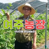 옹달샘농장 여주환 300g 국내산 여주환 판매