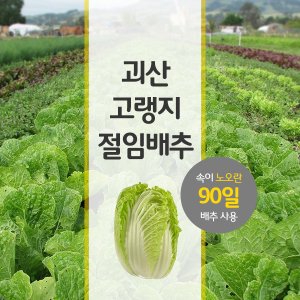 괴산절임배추 최저가 가성비상품