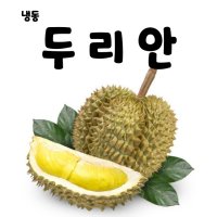 냉동 두리안 500g