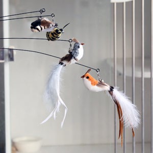 고양이 참새 낚시 장난감 와이어 깃털 우드스틱 인형 사냥본능