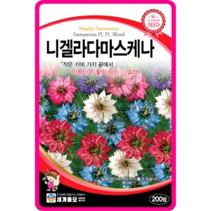 니겔라 씨앗 200립 / 종자 꽃씨 몰 넝쿨 꽃 노지월동 야생화 다년초 봄 여름 가을