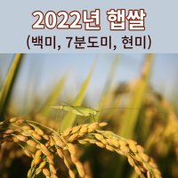 [2022년햅쌀] 맛있는쌀 하루세끼 백미/7분도미(쌀눈쌀)/현미 3kg 5kg 10kg 직접농사지은쌀