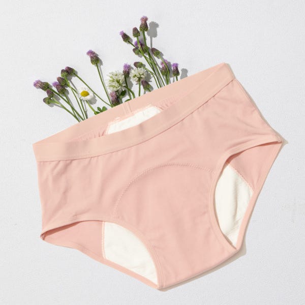 싸이클린 생리대팬티 다회용 입는오버나이트 오가닉 코튼 순면 생리팬티 흰색 흡수면