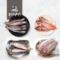 반건조생선 민어조기 침조기 적어(열기) 서대(박대) (망미중앙시장,부자생선)