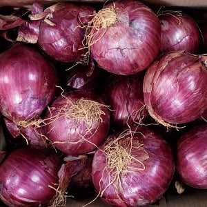 야채왕 적양파 햇 자색양파 10kg내외