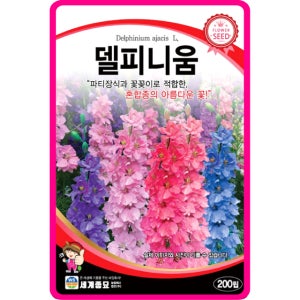 델피니움 씨앗 200립 / 델피늄 종자 제비꽃깔 꽃씨 몰 노지월동 야생화 다년생 가을