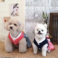 강아지 고양이 개량 한복 애견 설빔 명절 옷 럭키걸S