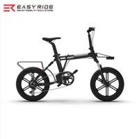 EASY RIDE 이지라이드 펫 몬스터 전기 자전거