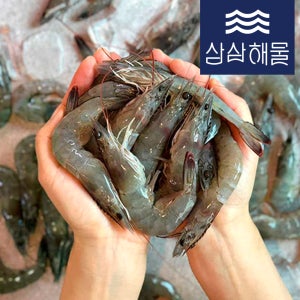 국내산 제철 활 생새우 흰다리새우 생새우 활새우 소금구이 1kg(40-50미)