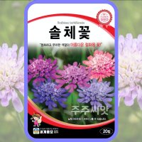 스카비오사 씨앗 솔체꽃 꽃씨 몰 노지월동 산라복 민둥체꽃 Scabiosa 종자