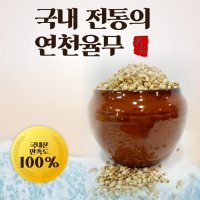 햇율무 연천율무 1kg 의이인 율무밥 효능 현미율무 칼국수