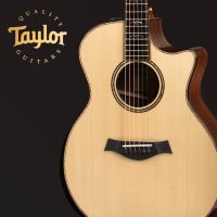 테일러 TAYLOR 914CE 올솔리드 어쿠스틱통기타 GA바디 베네티안컷어웨이픽업EQ