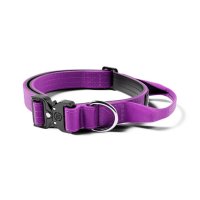 NEW BB 불리빌로우 2.5cm Combat® 목줄 퍼플(Purple)