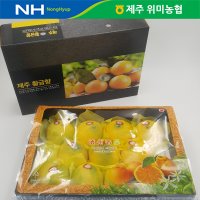 제주 위미농협 황금향 5kg(16-25과)