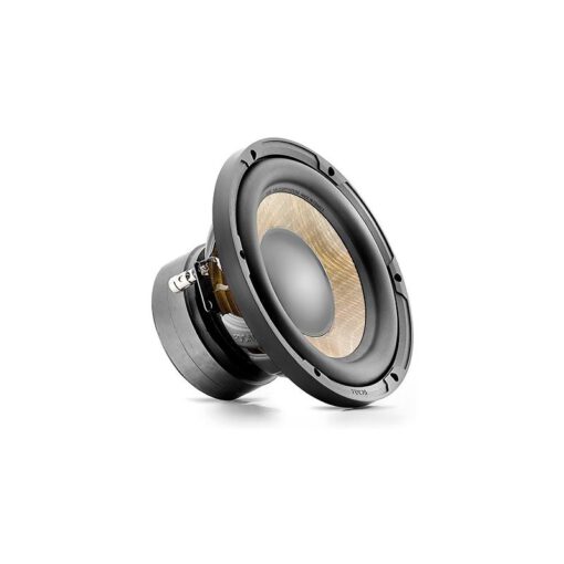 (Focal) 포칼 P20FE - EVO 서브 우퍼