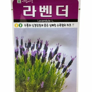 라벤더 씨앗 100립 26년포장 허브씨앗 아람