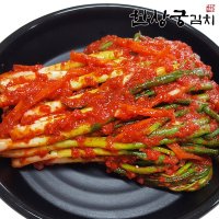 한상궁김치 국산 골파김치 500g/알싸한 매콤 파김치