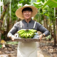 국내산 클로렐라 유기농 올 바나나 1.5kg 2.5kg