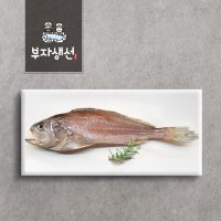 제수용생선 반건조생선 침조기 1마리 소 중 대