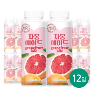 서울에프엔비 설빙 자몽에이드 250mL X 12입