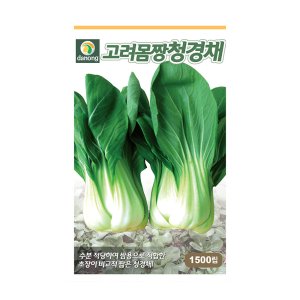 다농 고려몸짱청경채 씨앗 1500립