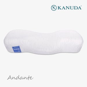 [가누다] 블루라벨 안단테 Soft 단품 메모리폼 경추 기능성 베개