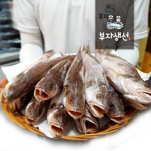깨끗손질 반건조조기 민어조기 10,12마리세트(망미중앙시장,부자생선)