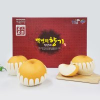 백년의 향기 배 7.5kg 10내, 12내 (명절인사장) / 추석 배선물세트 천안 성환