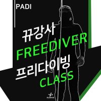 PADI 프리다이버 과정 강습[플러시안 뀨강사][서울/경기/인천]