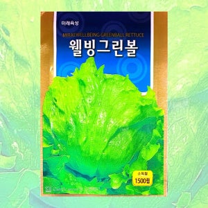 그린볼 상추 씨앗 1500립 26년포장 미래종묘