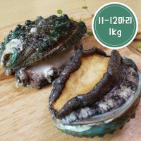 완도전복 대3호 11-12미 1kg(11~12마리 / 마리당83g) 완도으뜸전복