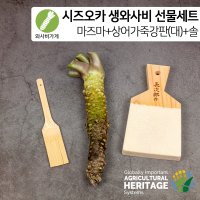 시즈오카 마즈마 생와사비+상어가죽강판(대)+와사비전용 대나무솔