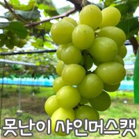 (가정용) 못난이 샤인머스캣 GAP 산지직송