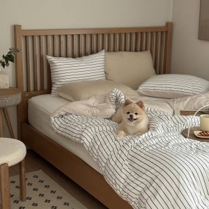 반려동물과 함께 쓰는 털 안붙는 알러지케어 나란히 사계절/극세사 차렵 이불 단품 SS