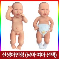 [36399] 신생아인형 아기모형 신생아마네킹 (남아 여아 선택) 산모실습 출산교육