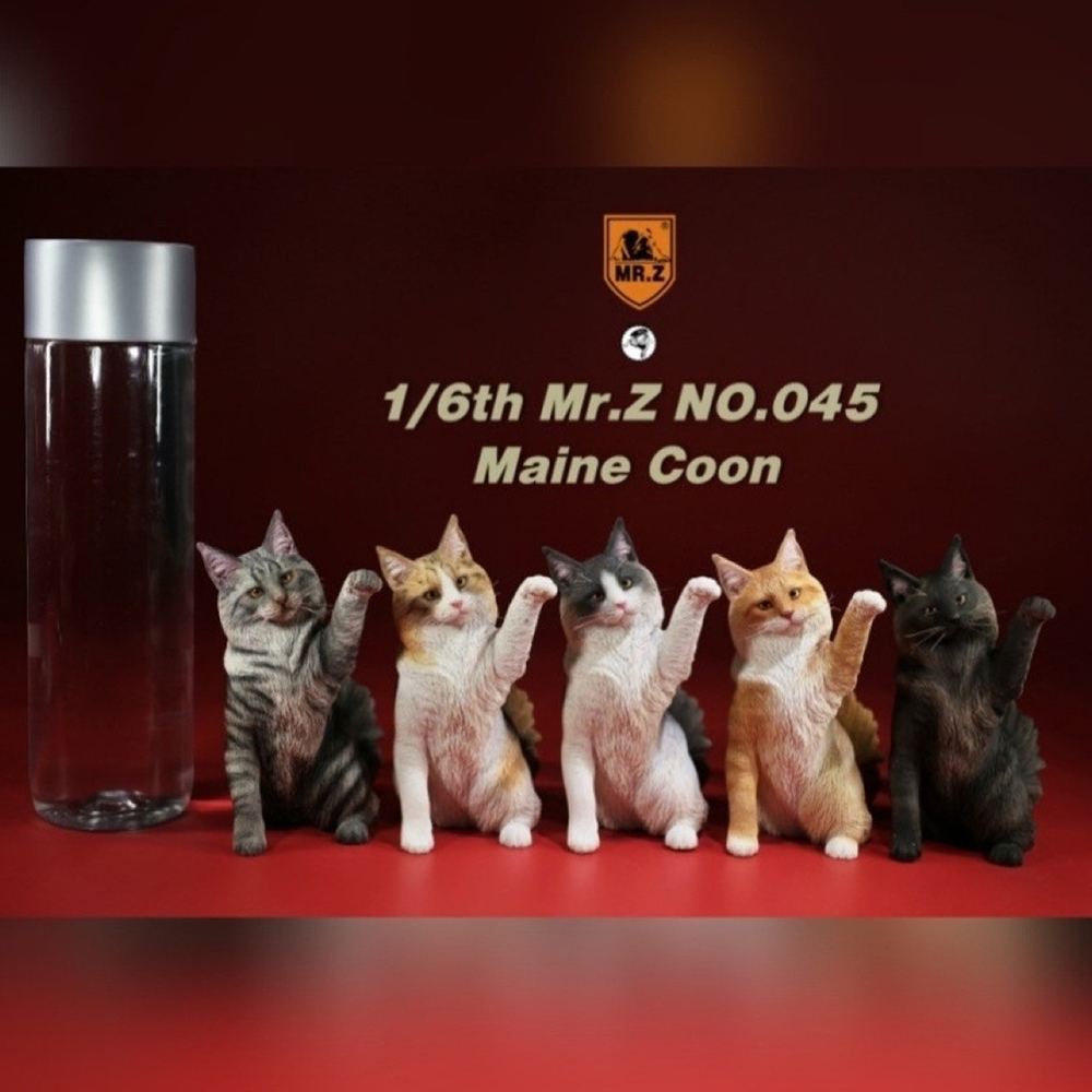 Maine Coon (메인쿤)