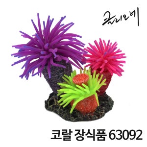 클리오네 코랄 산호 장식품 63092